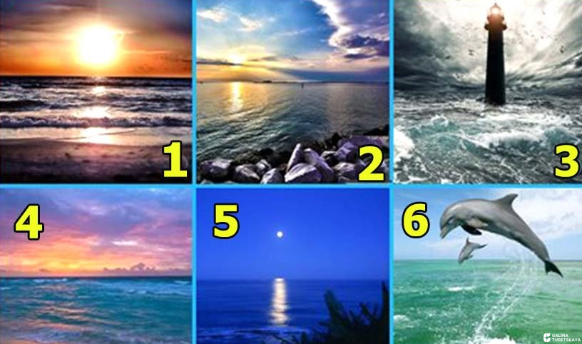 Море богато самыми разнообразными ресурсами. Какой из них — ваш?