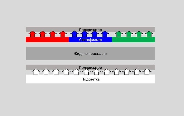 Для формирования изображения свет последовательно проходит через поляризационную плёнку, слой жидких кристаллов с управляющими электродами, светофильтр и вторую поляризационную плёнку. Данная схема актуальна практически для всех современных типов ЖК-матриц: TN, IPS и VA, а также различных их модификаций (например TN+Film или MVA). Эти матрицы принципиально отличаются друг от друга строением слоя с жидкими кристаллами, которые определяют особенности каждого из них.
