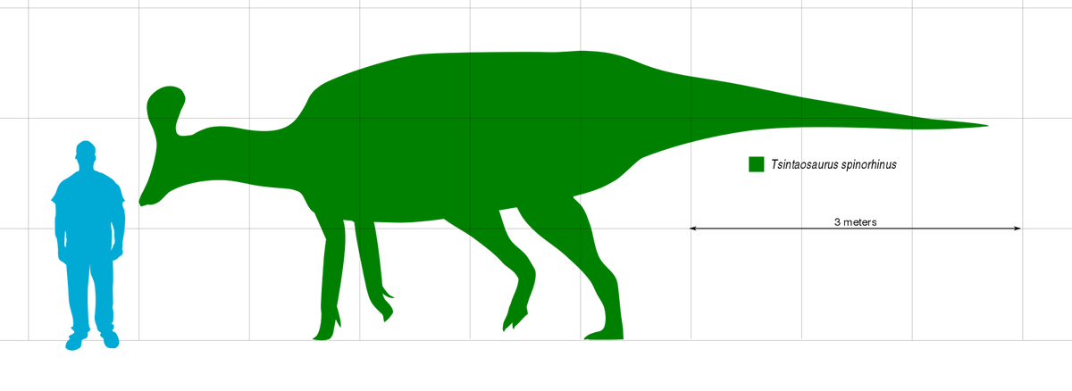 Вставая на задние лапы животина могла достигать 10 метров!