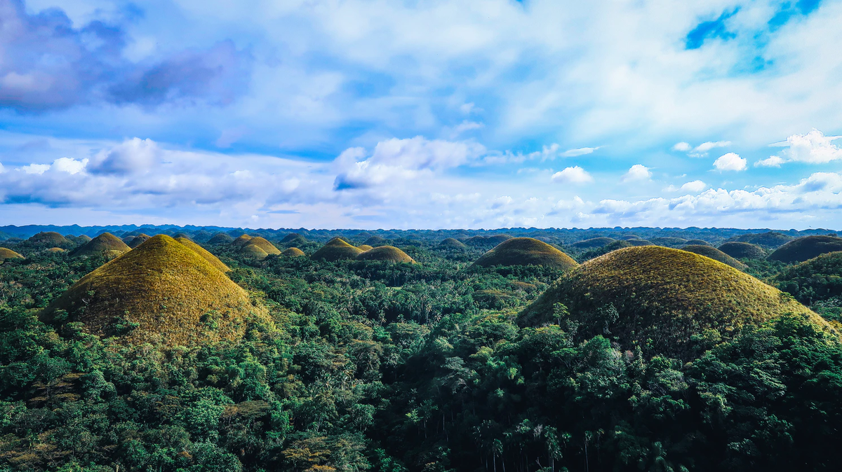 Фото unsplash.com