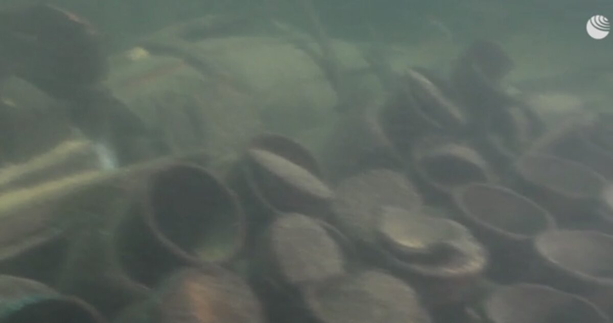 Источник: kp.ru