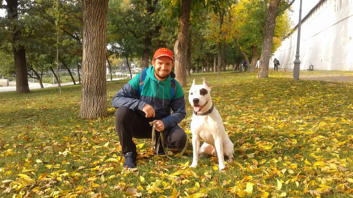 Денис и Булли