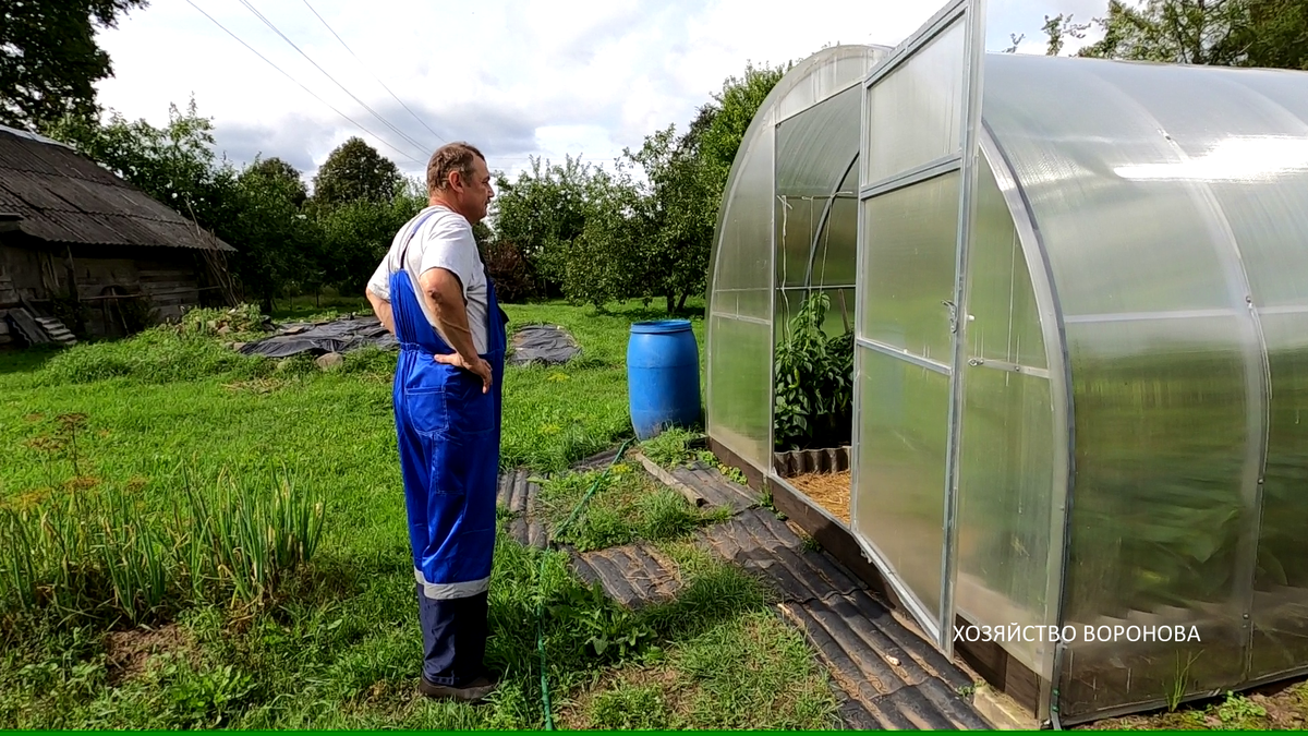Фото. Хозяйство Воронова. Валерий Николаевич у теплицы