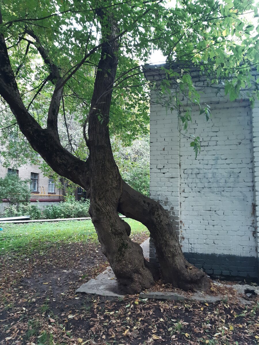 Семья обосновалась там, где её никто не видел и не ждал