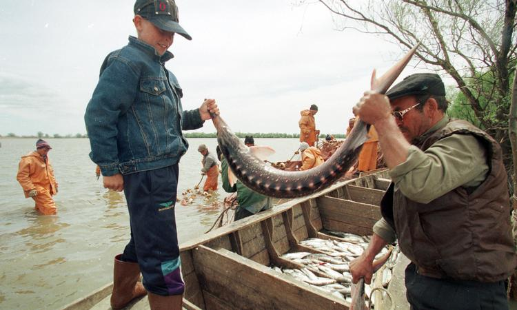 Фото взято с Яндекс.Картинки