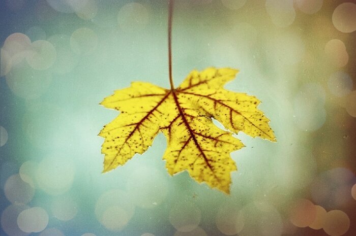 Второй месяц осени принёс в жизнь россиян сразу несколько важных изменений. Они коснутся пенсионеров, бюджетников, владельцев банковских вкладов и граждан, занимающихся сбором денег на благотворительность.