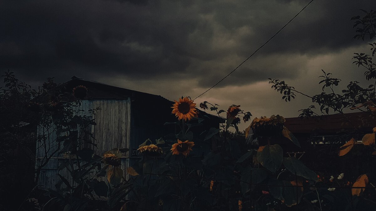 Summer cloud