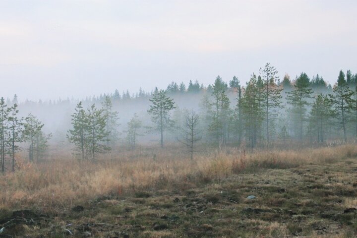 Трасса "Кола"