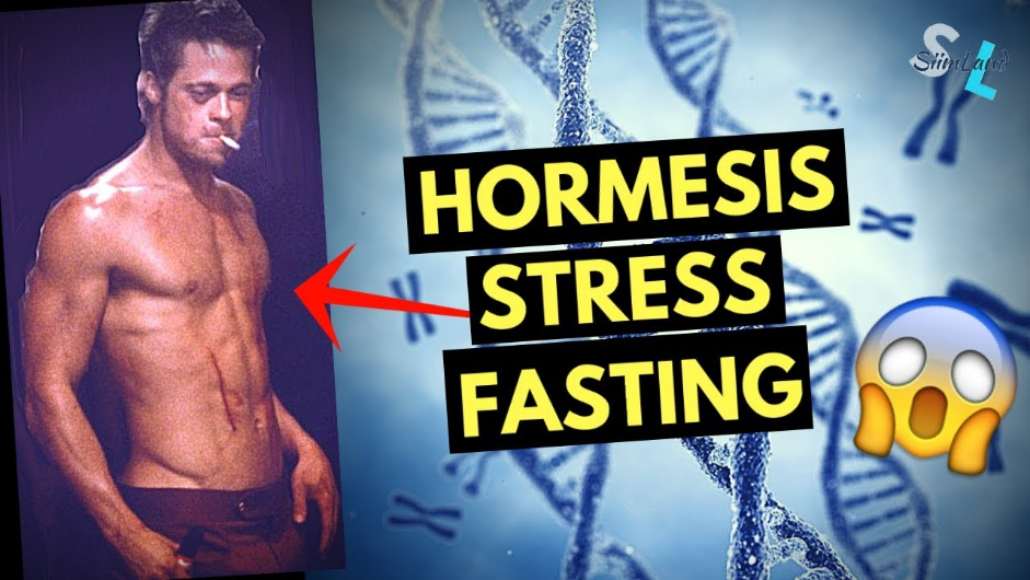 Яндекс.картинки