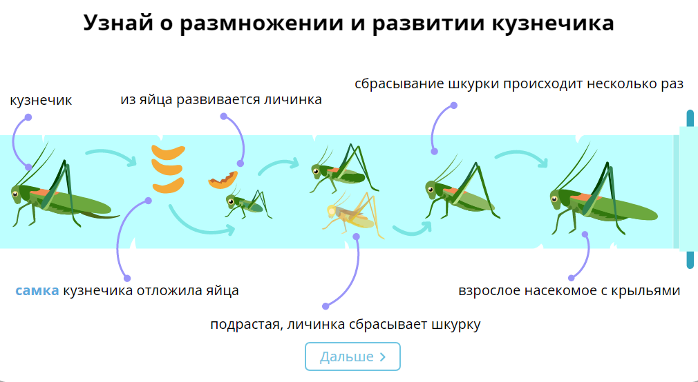 О! А так быстрее и интересней! 