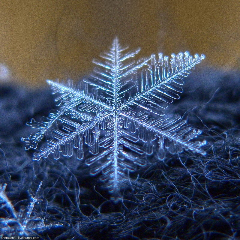 Иллюстрация-фото из Интернета