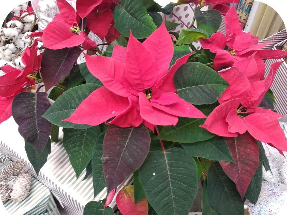 Фото автора канала