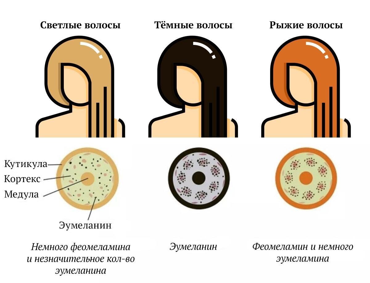 Блондинку натянули на пенис в туалете | порно и секс фото с блондинками