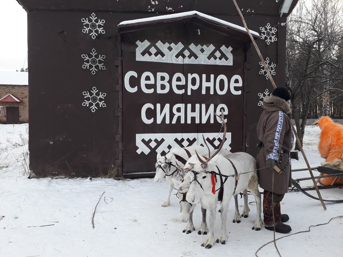 Нарядные белые олени встречали детей напротив входа на территорию фермы.