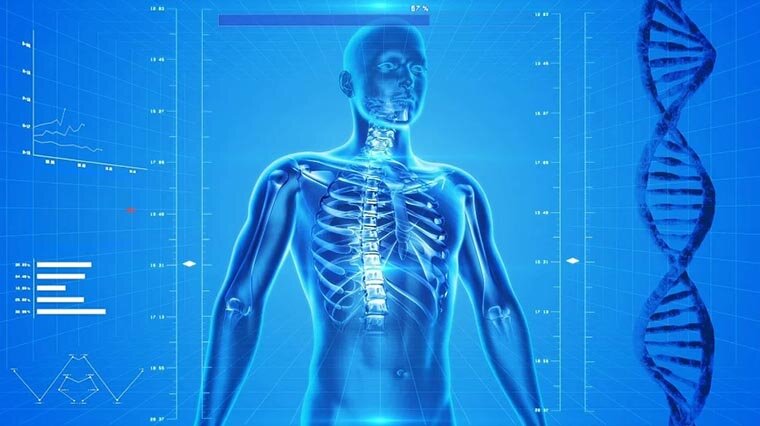 Изучение тела человека продолжается и в наши дни, с помощью современных технологий