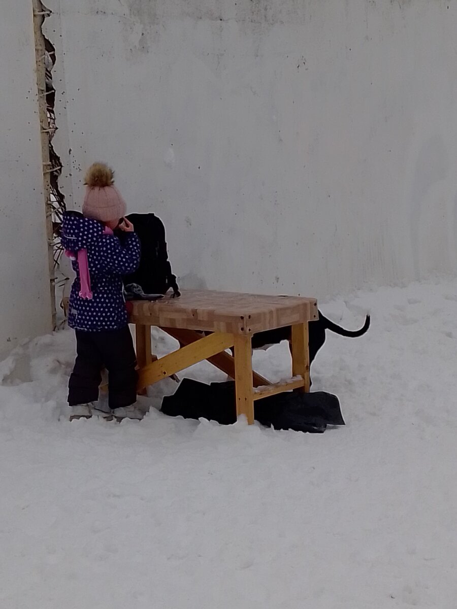 Личное фото автора. Дочка пьет чай на выезде, собака рядом, видно только хвост)