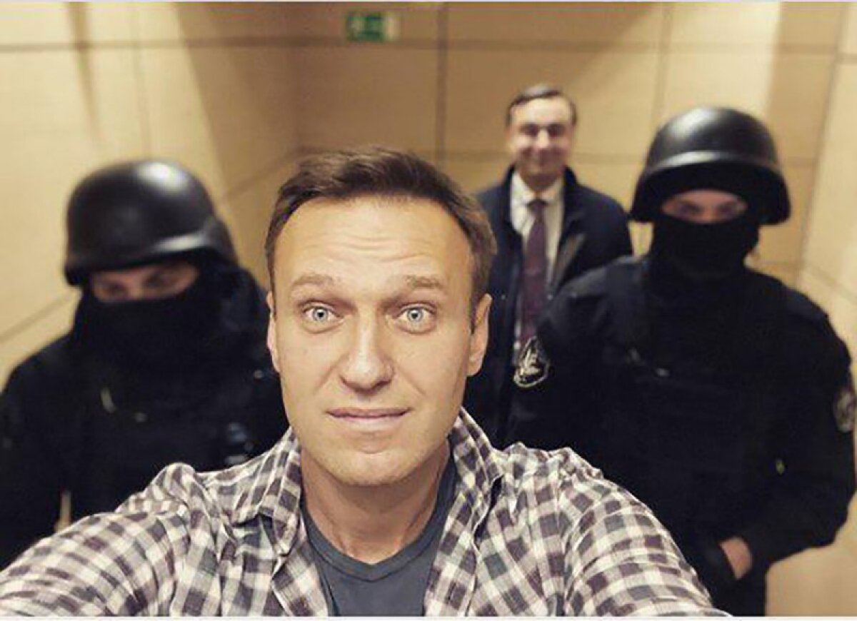 загружено из Яндекс картинки.