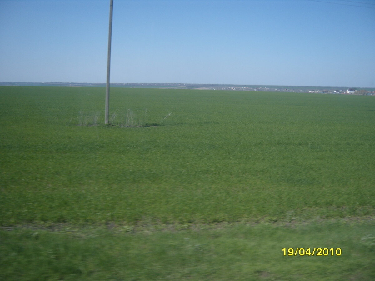 Фото из личного архива