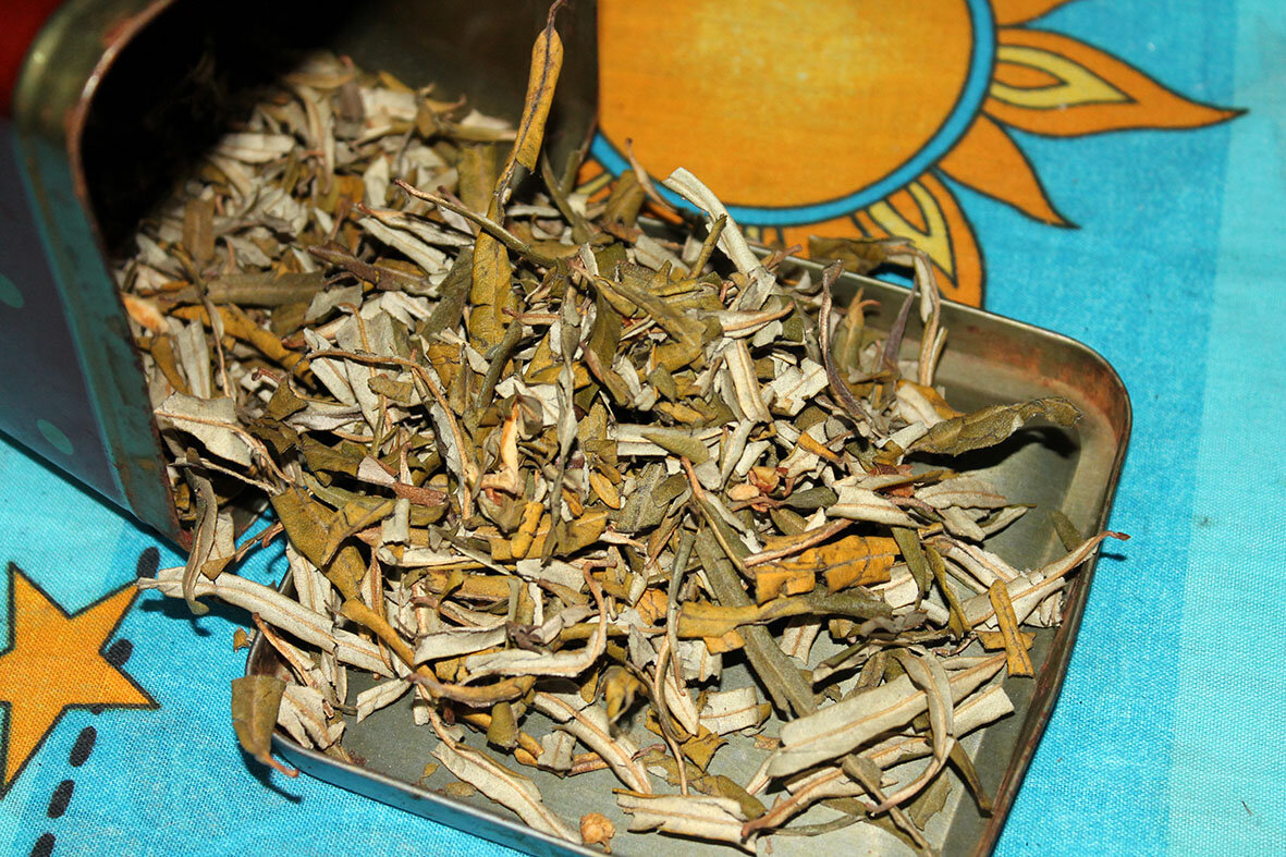 Сушеные облепиховые листья - моё спасение (вернее козье)))