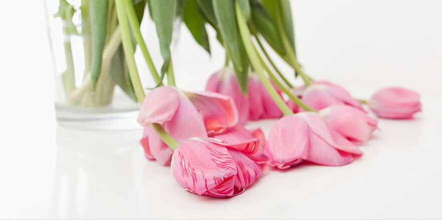 Большинство девушек не знают как правильно ухаживать за срезанными цветами или просто не желают заморачиваться. В итоге остается только печальный осадок о том, что приходится выбрасывать чудесные цветы и они порадовали своей красотой столь непродолжительный период. Если Вы все же решили подарить цветы не забудьте к ним приложить как-то более весомый подарок. 