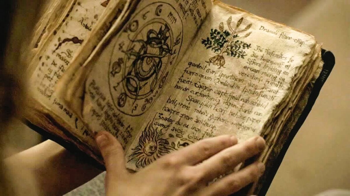 Фотоизображение взято из открытых интернет - источников