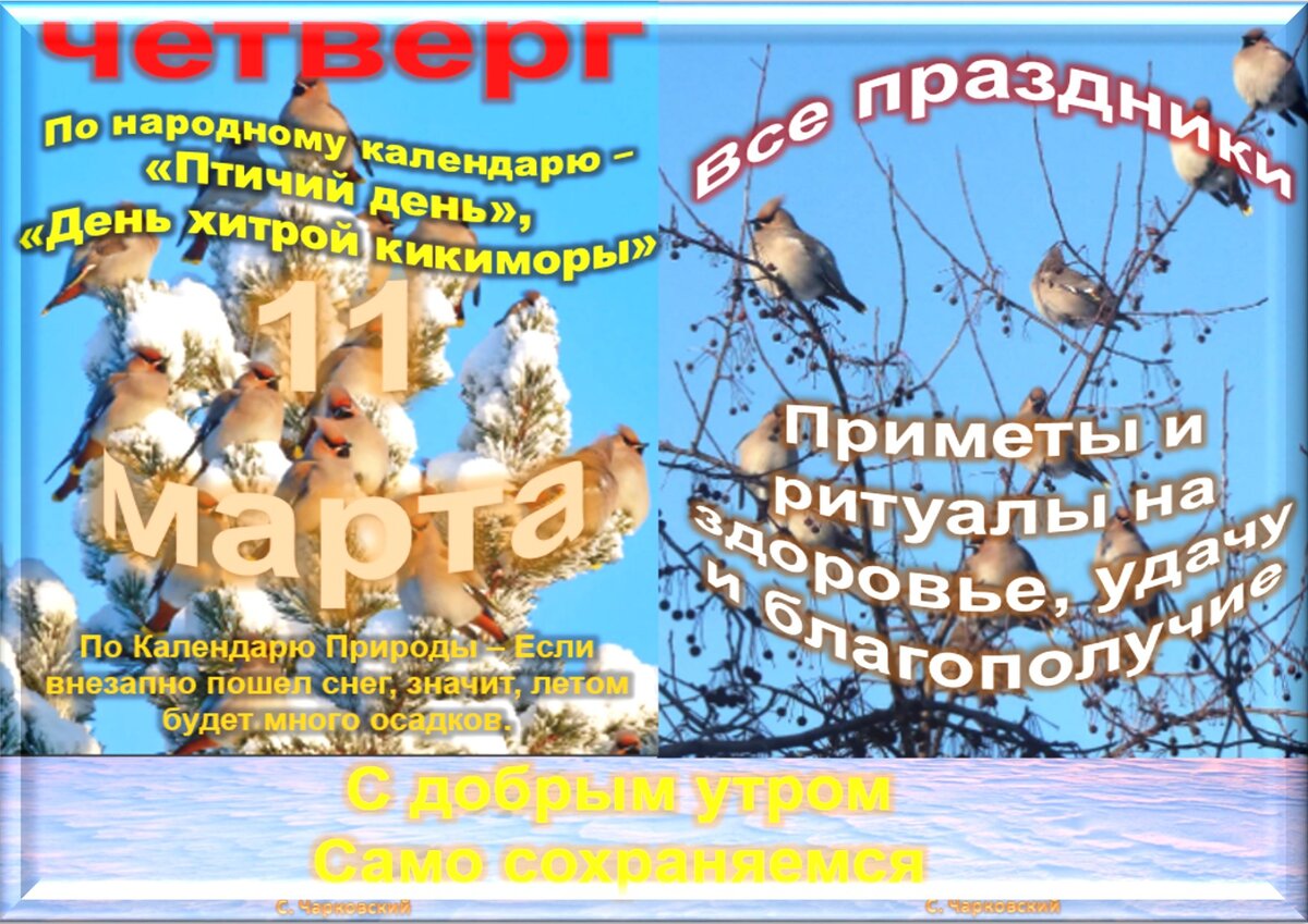 19 ноября приметы