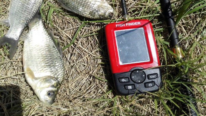 Источник фото-Aliexpress.com