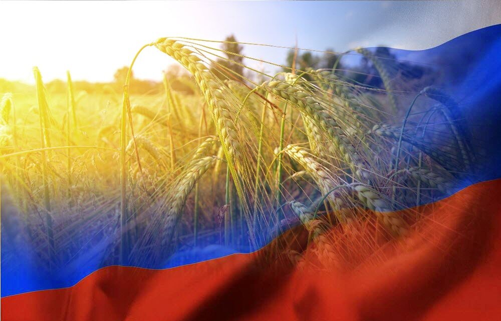 Фото с сайта: https://vegchel.ru/