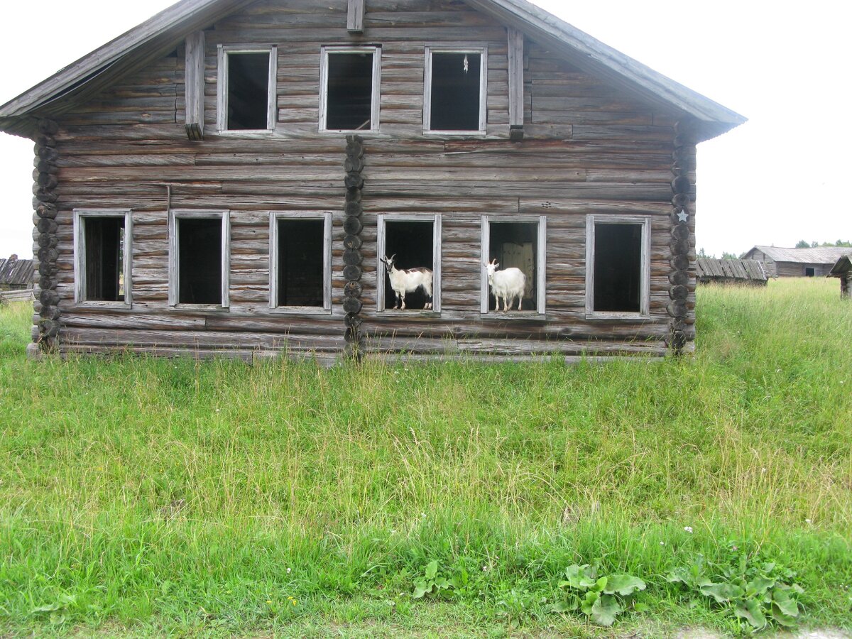 Фото из личного архива автора