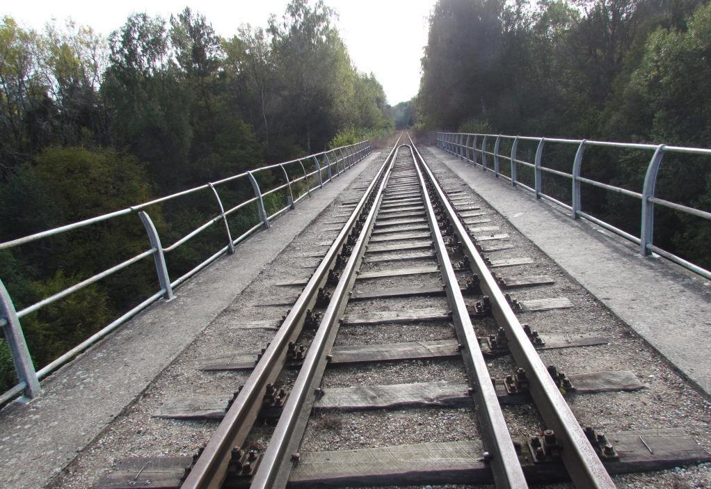 Мост в п. Токаревка