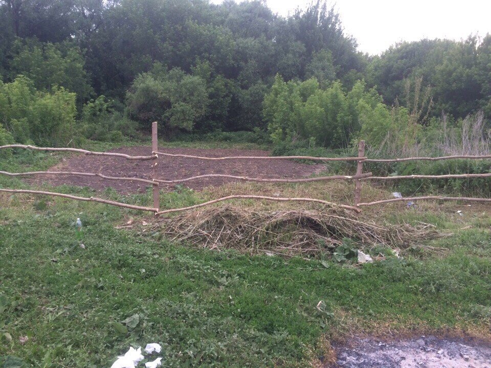 Мой огород. Картофеля с него хватает на целый год 2м людям. А картошку мы любим)