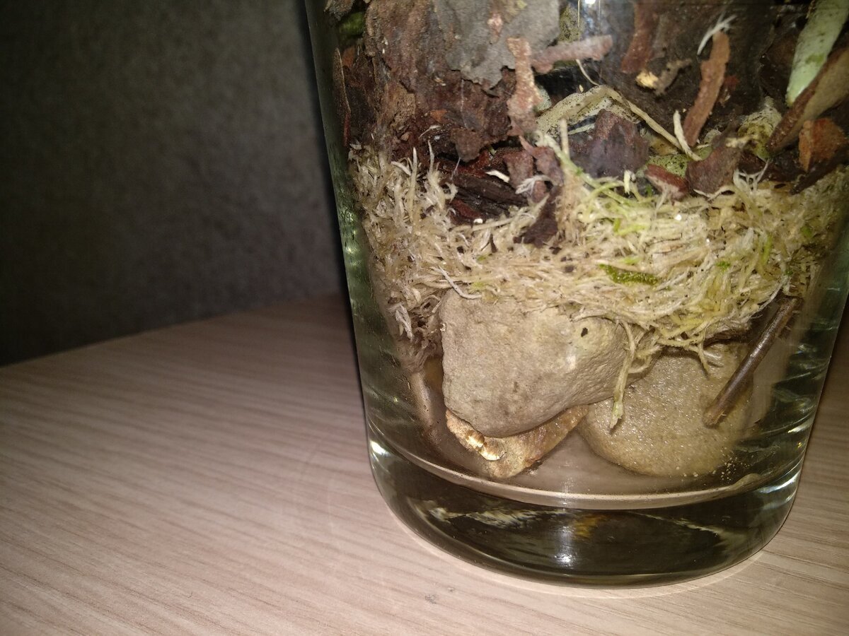 Это сразу после посадки. 