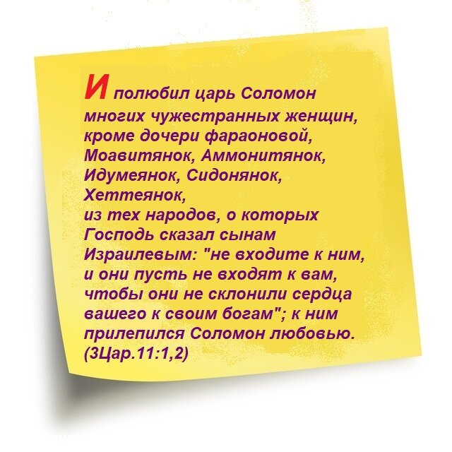 Стих 11. Глава 11 стихи. Полюбить так короля. Царь Соломон +говорил празднуй каждый день тост.