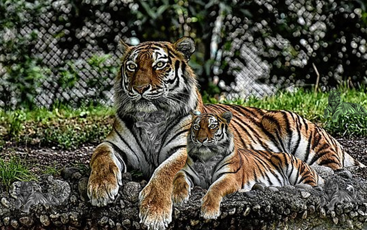 Оригинальная картинка с сайта pixabay