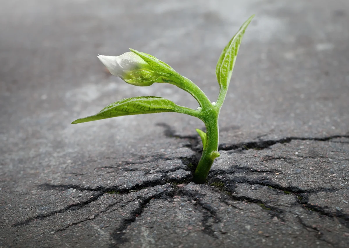 фото из открытого источника Яндекс.