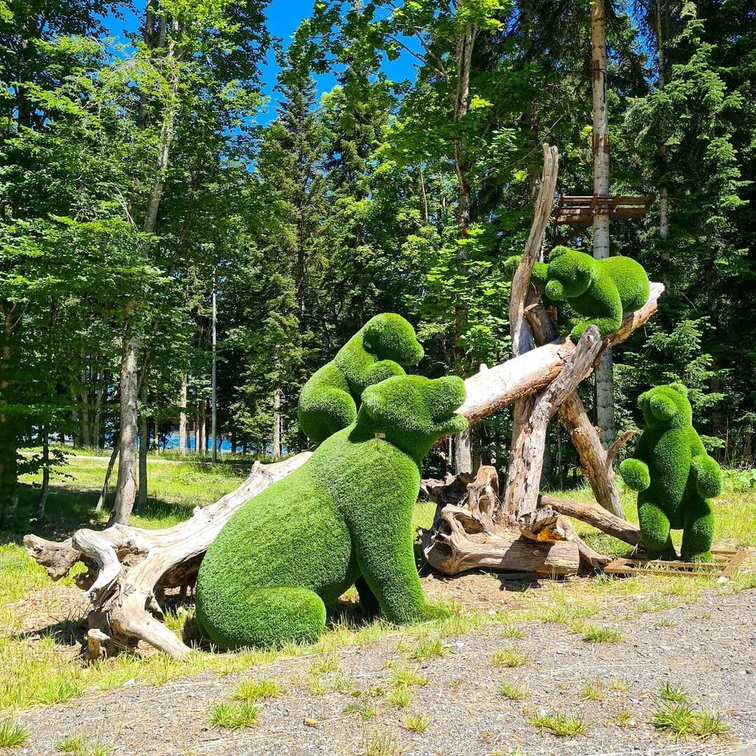 Газпром "Лаура"