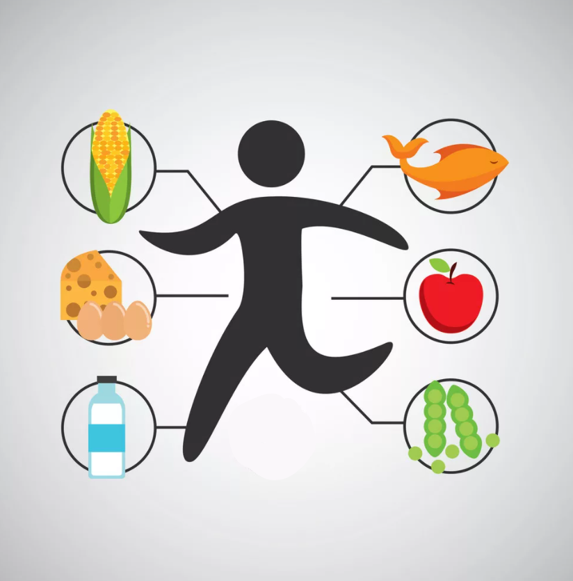 Как тренировки влияют на аппетит