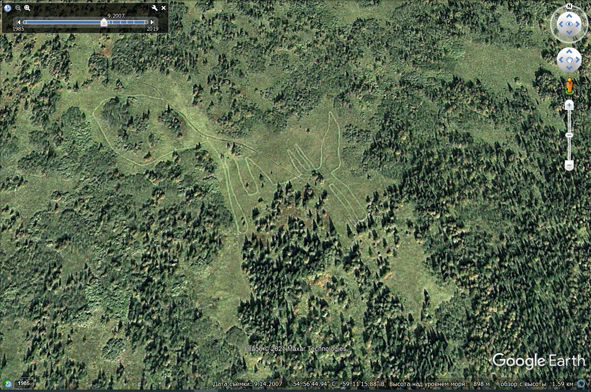 Кажется, что здесь изображён гигантский лось. 09,2007 год