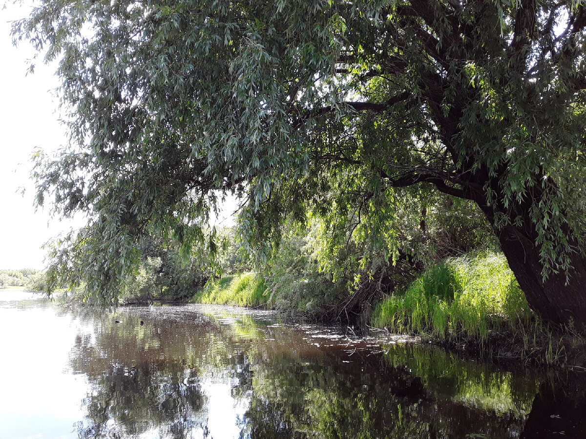 На озере. Фото из личного архива.