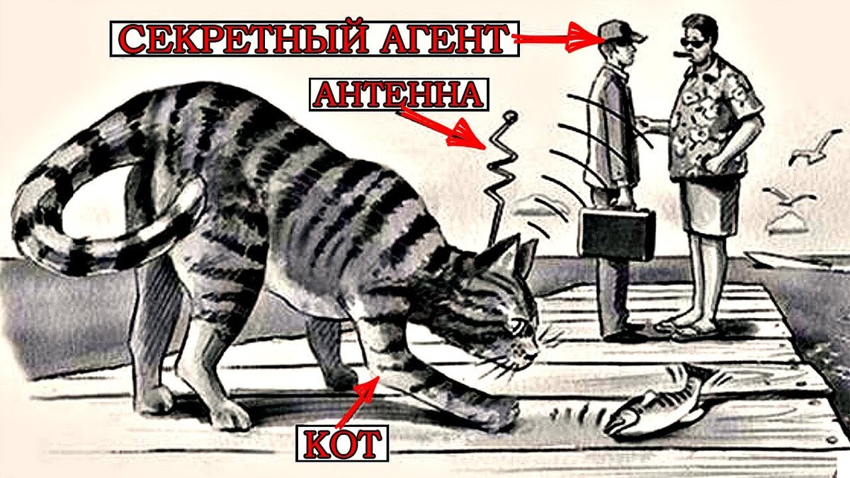 Кот шпион ЦРУ. Картинка взята из источника: https://i.ytimg.com/vi/dUruf4CuzEM/maxresdefault.jpg.