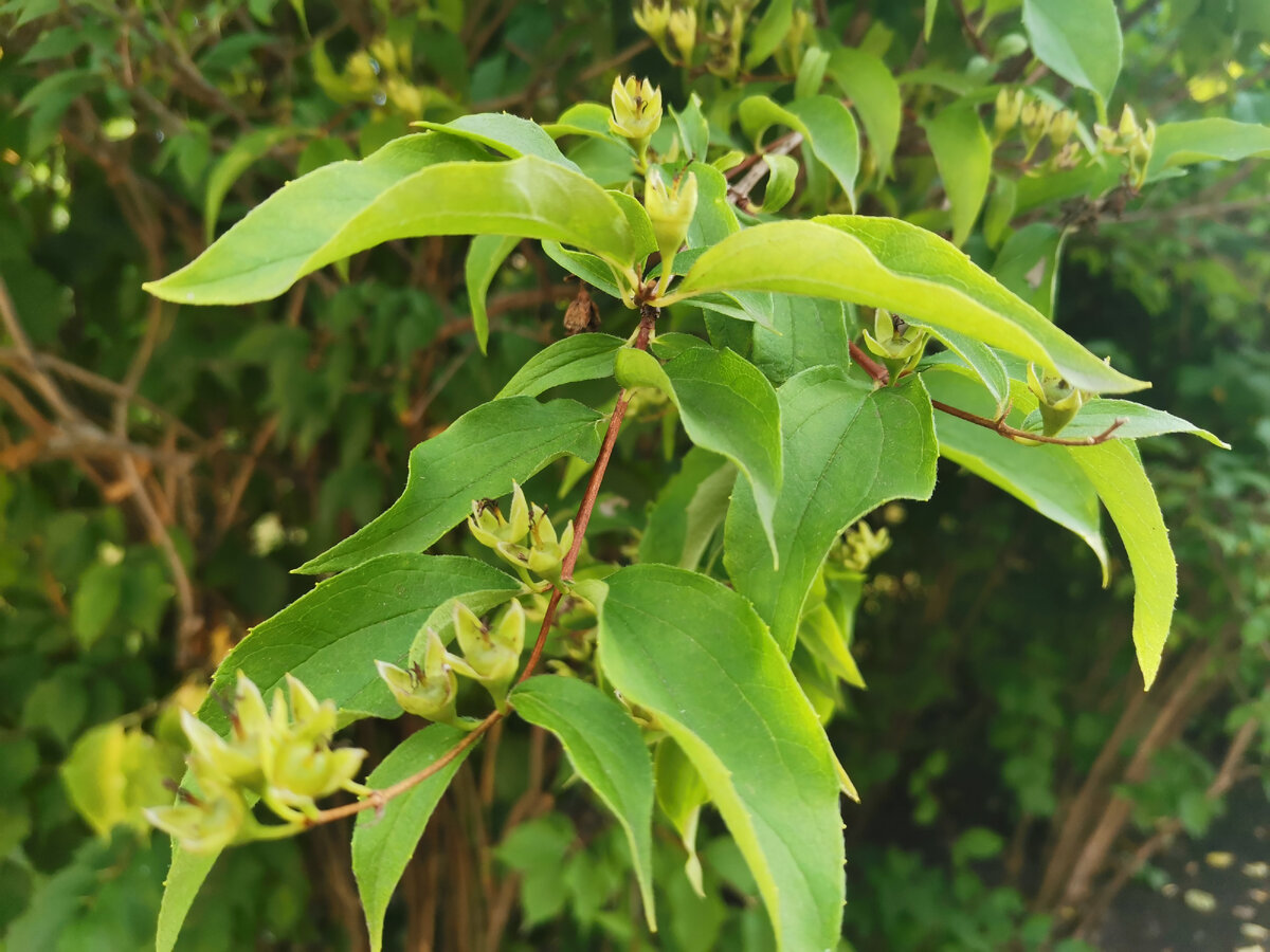 Фото автора канала