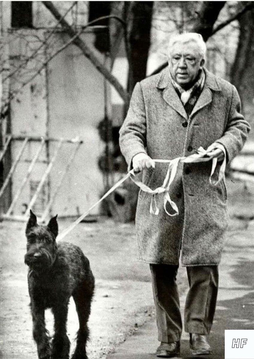 Кадр заимствован со стороннего источника.
Автор: неизвестен