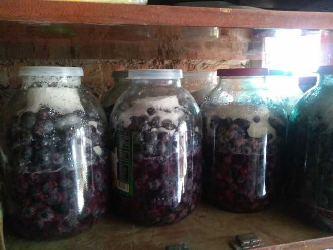 Из года в год делаю вино по одному единственному рецепту — даже виноград не надо давить! Отличный быстрый рецепт3