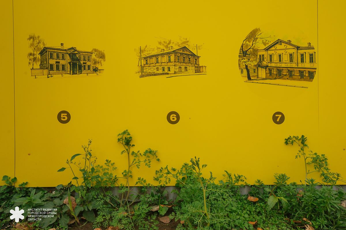 Фото: ИРГСНО