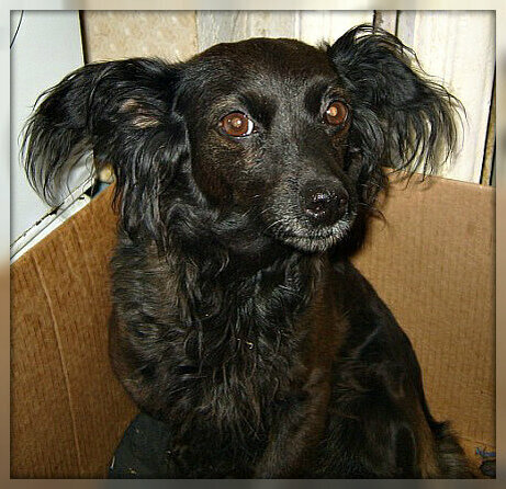 наша Кнопочка