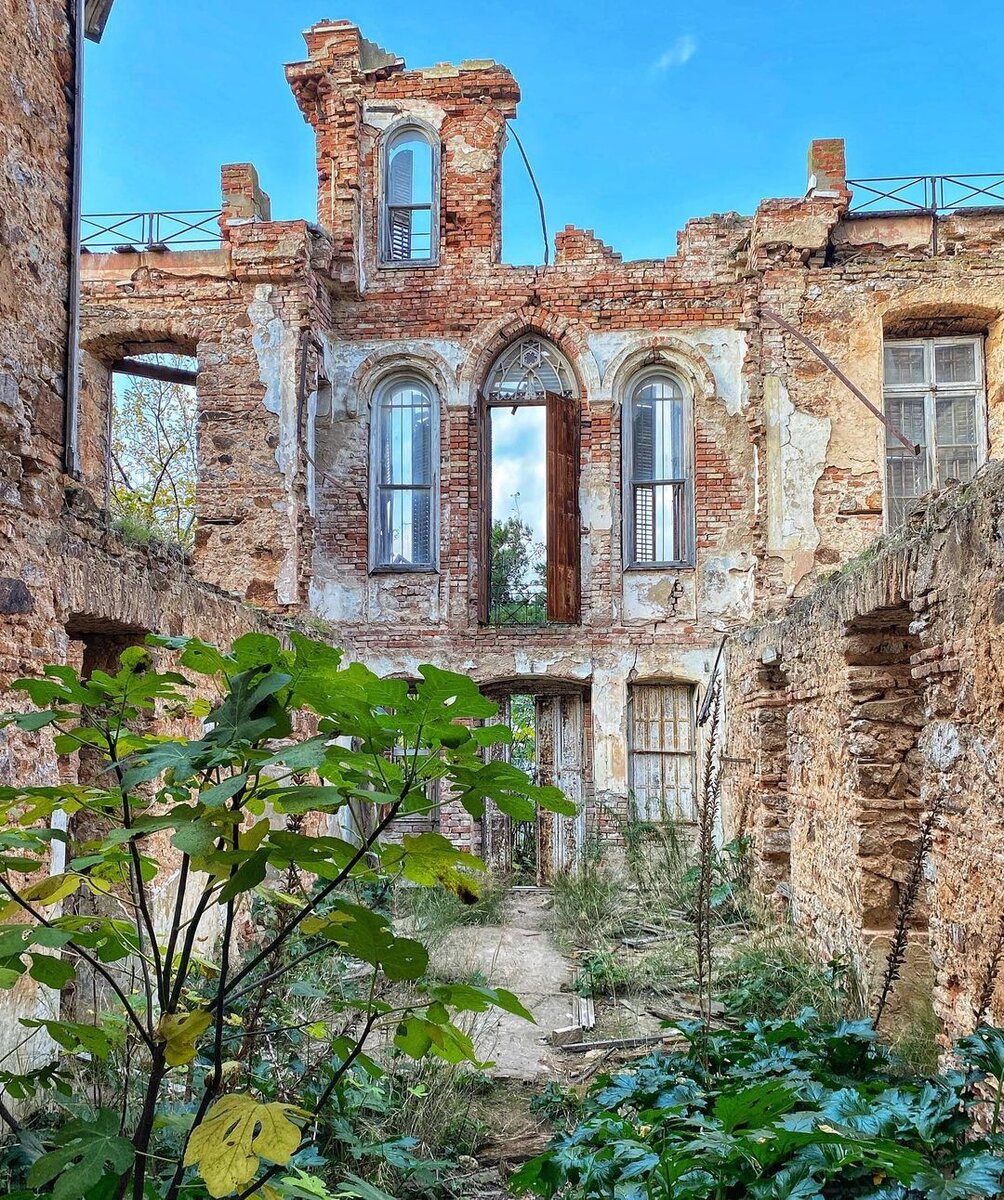 Фото: @novachkiv