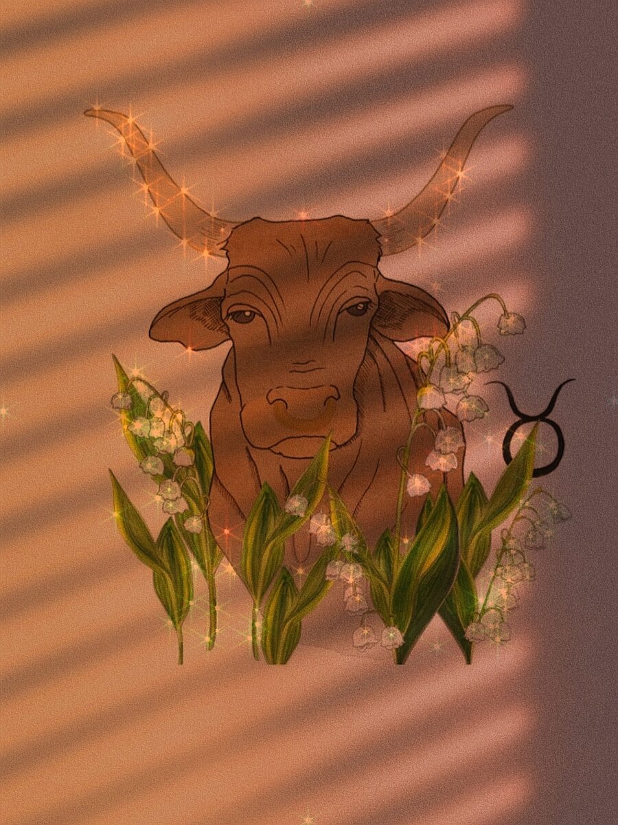 Таро-прогноз для Тельцов на 2022 год