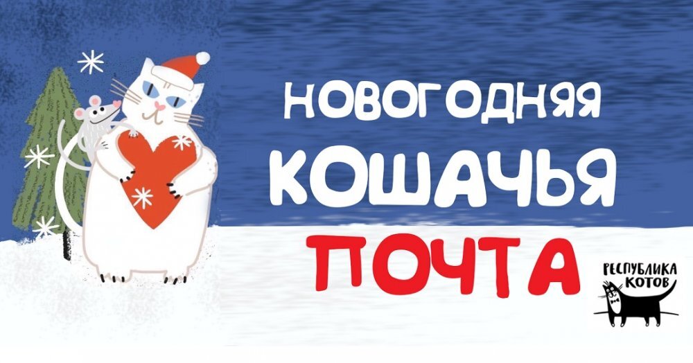 Постер акции "Новогодняя кошачья почта". Предоставлено Республикой котов