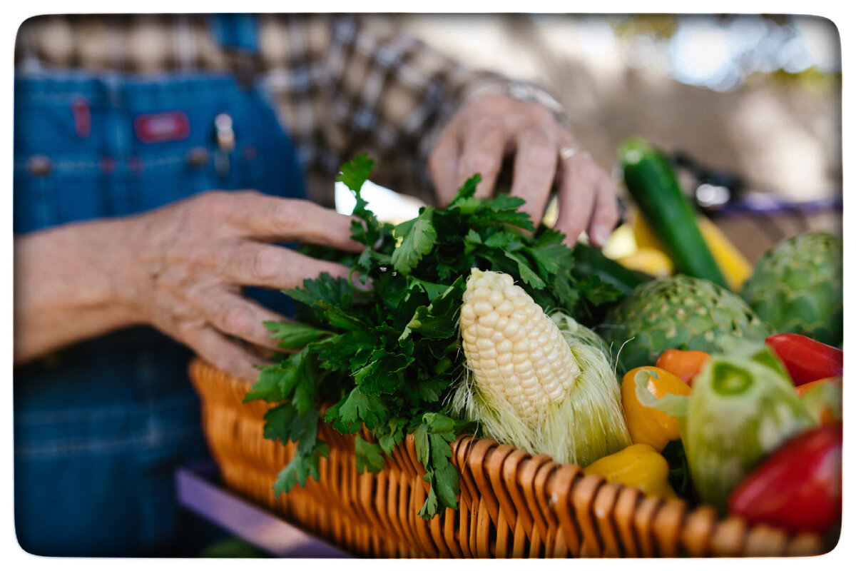 6 советов, как покупать более качественные и свежие продукты в магазине |  Игорь Ботоговский | Дзен