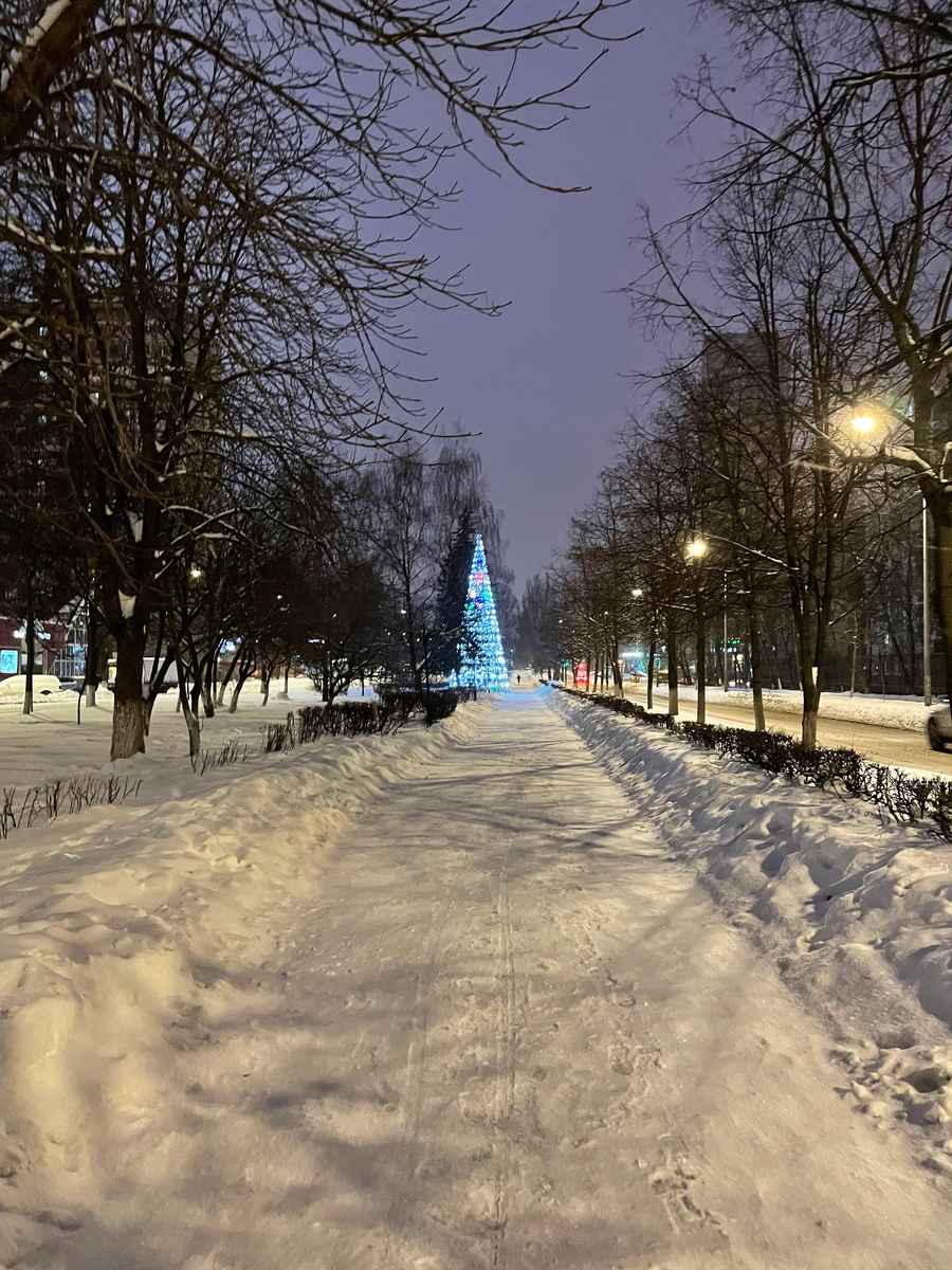 Первая елка на беговом маршруте